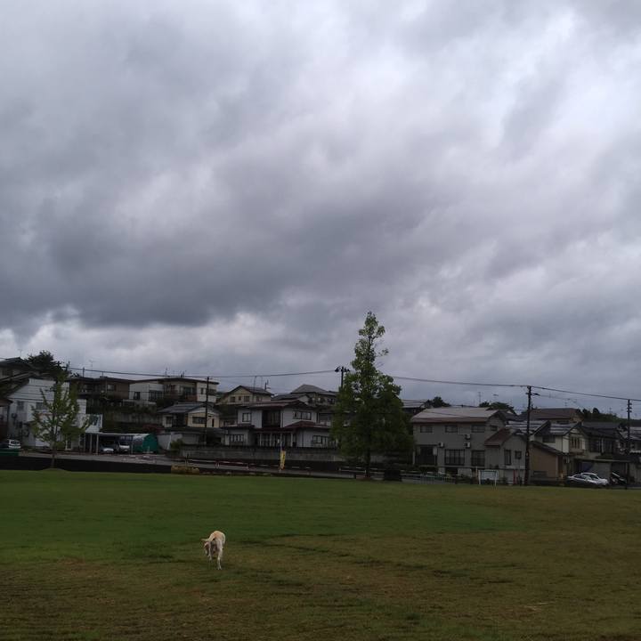 259f8805 73b7 4643 945c 0c97524a2d3b