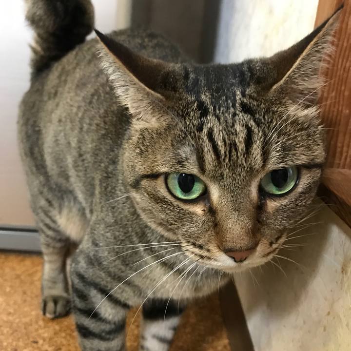 259fdce8 5faf 47fd 8ad9 79d3a7cc0820