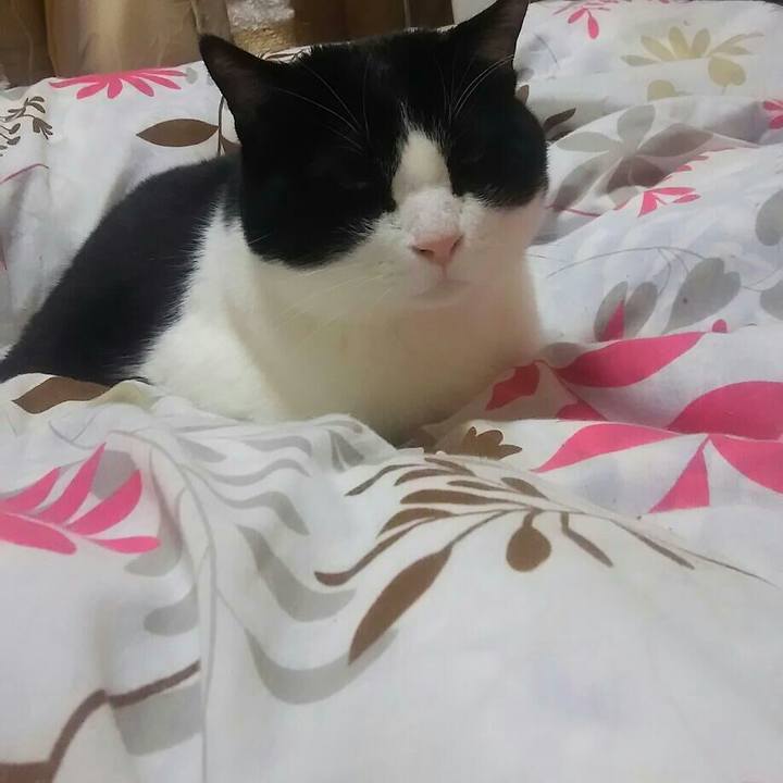 25a0e67d 114e 42f4 a41a 11cda5a9afb9