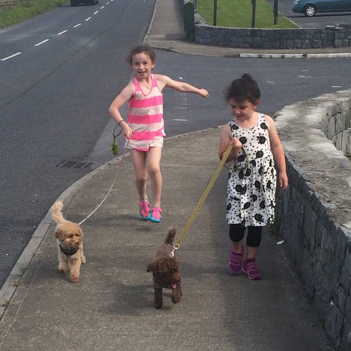 25a154c3 1e54 42fd b561 56beb5195ff4