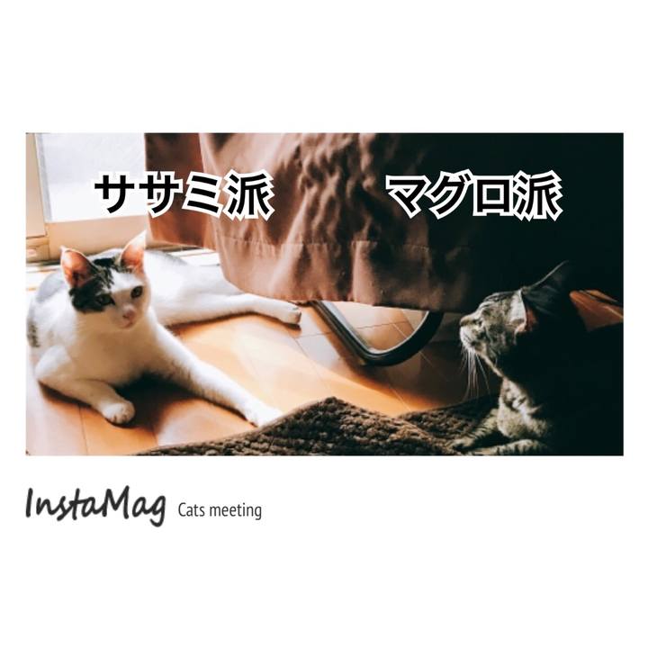 25a15f24 bcdf 4075 9e9e fd7bd99b8de9