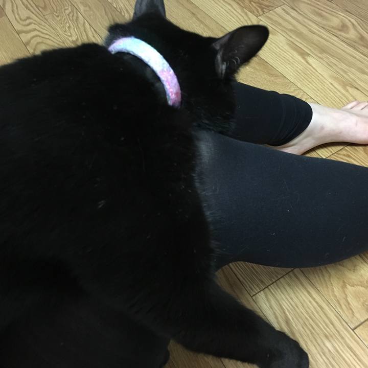 25a1fa65 4807 46a0 986c 8b1ade208a3e