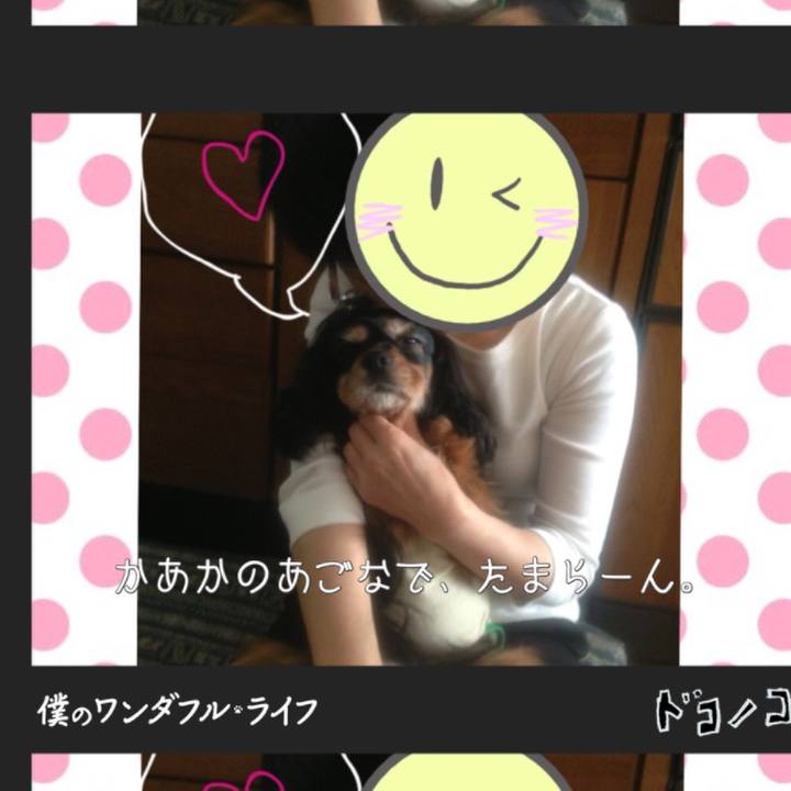 25a2439b c5df 4e33 ba00 f12b92b1bac8