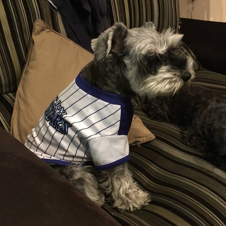 25a29c79 7ea5 4d20 b4f7 44ab284d9b07