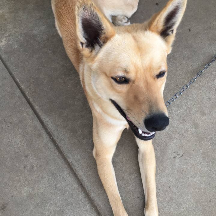 25a2bec7 6a96 4ef4 aab7 34b71463ee70