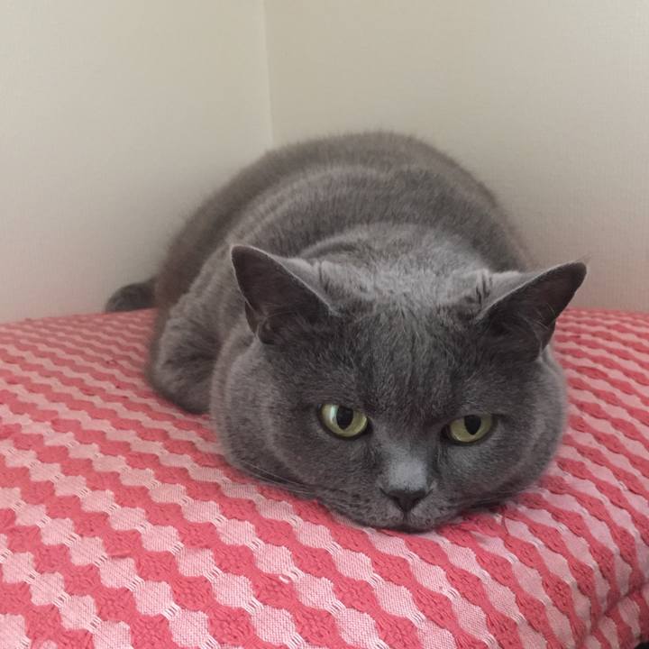 25a2f421 096a 4747 b4df 0d132134963b