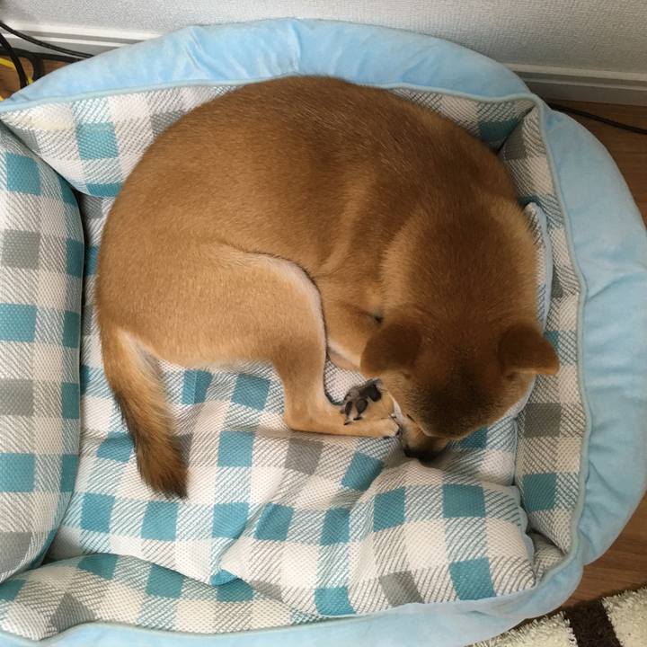 25a32ab3 83fa 416e b081 e6e054c7cf92