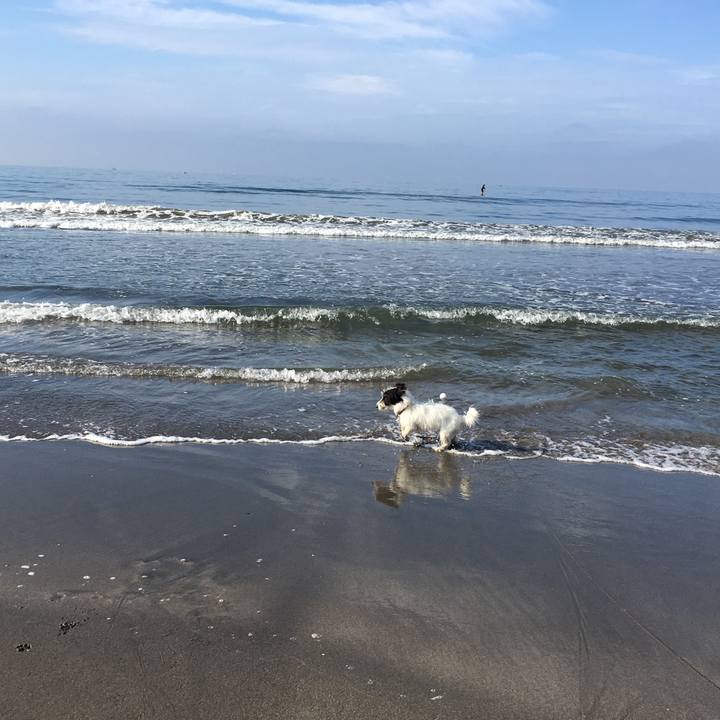 25a43b77 b77d 4c9f 8a47 e2a3cb261191