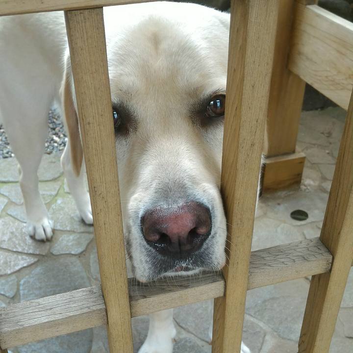 25a4589d 7e4a 43de adc1 c7be7ce0aa7f