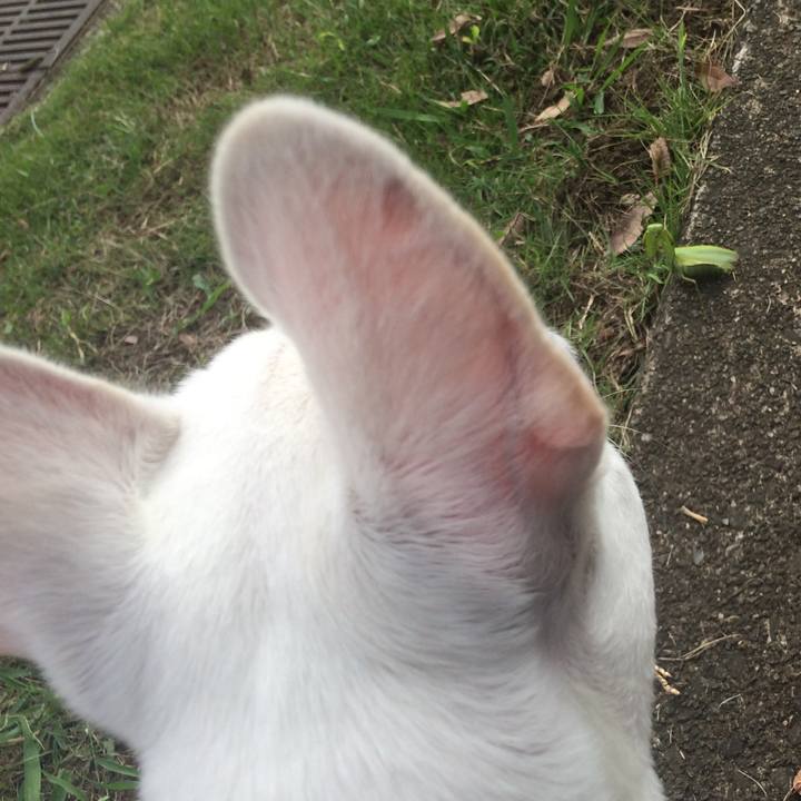 25a4a083 5c91 452a a661 872527c75eac