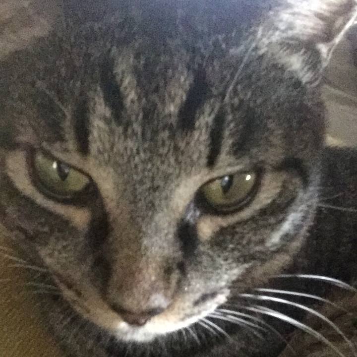 25a4d725 895e 45b8 a1ba 06bc5ed8640d