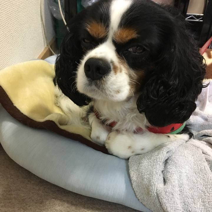 25a64fe5 7569 4c25 88a9 4e091e662524