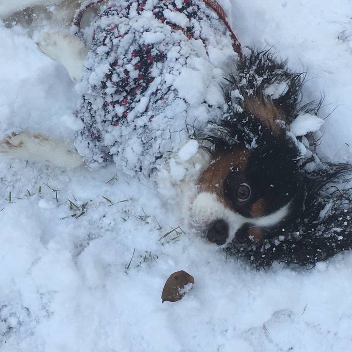 25a7ee77 4321 40b8 8add 6fa138486b67