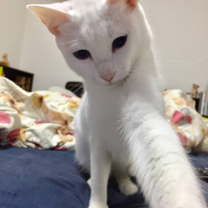 25a8bfb7 0d69 4ef5 a516 c44bce48473b