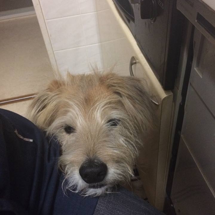 25a9213d 59c9 4835 bd9d fcbe517b1b96