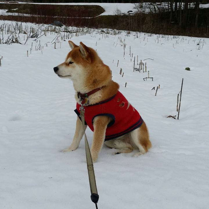 25a9e2d3 0cc9 4a60 8f39 06a94f9a5745