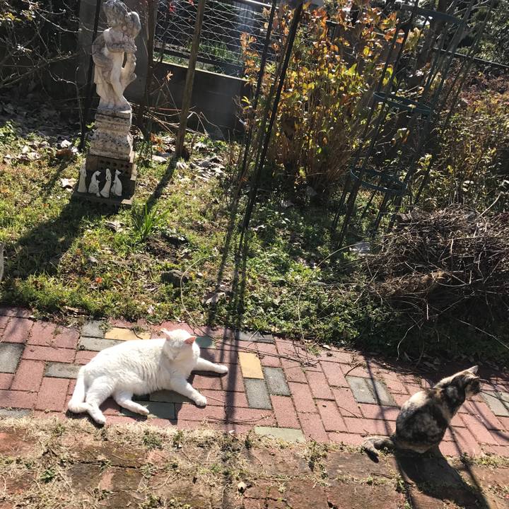 25aa6db0 b818 4209 9c07 9c64bcff020f