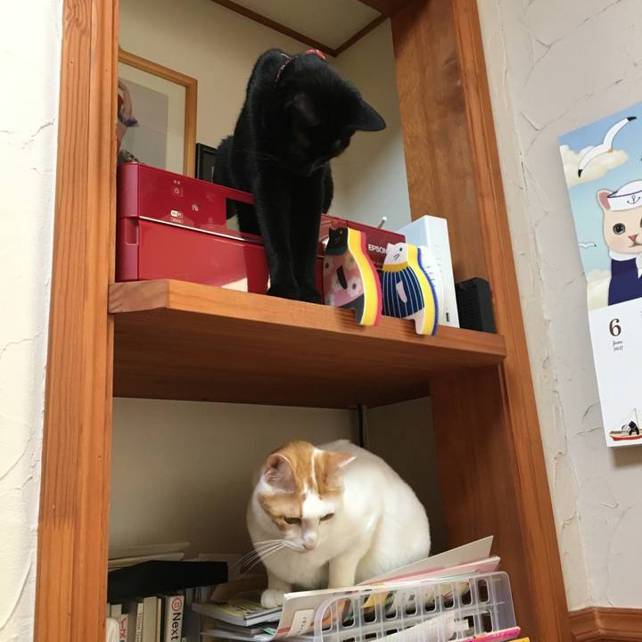 25aaa8b1 0174 402c 9f60 2e3ea61e920b