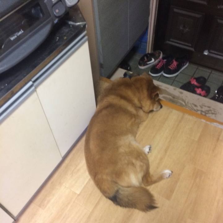 25aac47d d08b 4ac0 b464 2da1af3b0b7d