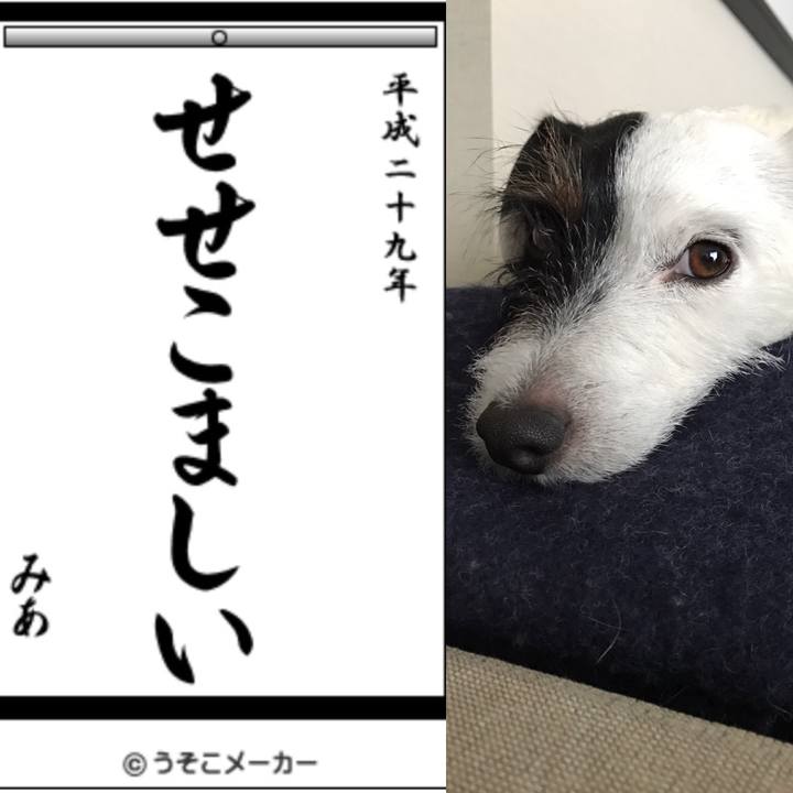 25aadbc9 9285 49ff aeb0 659a5ce5d762