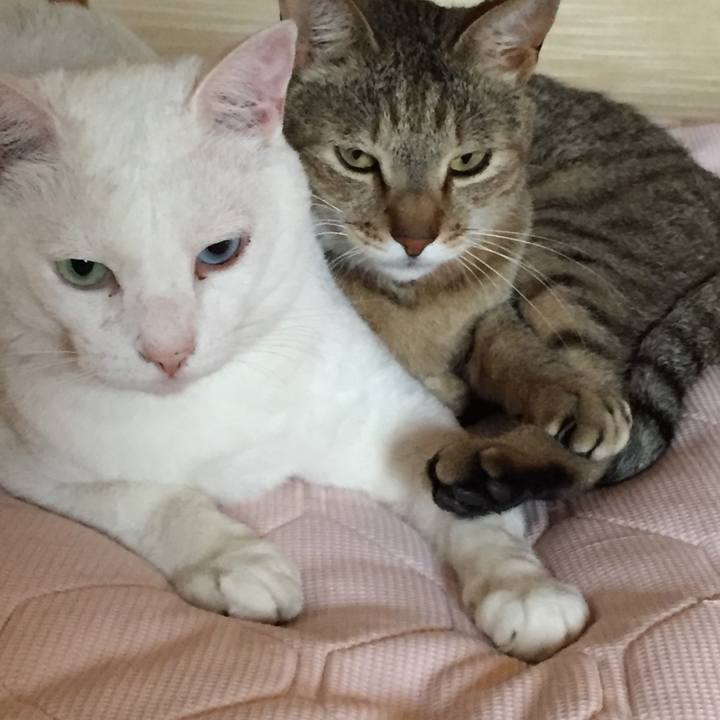 25aae3bd b230 4c0d a055 b08911be606a