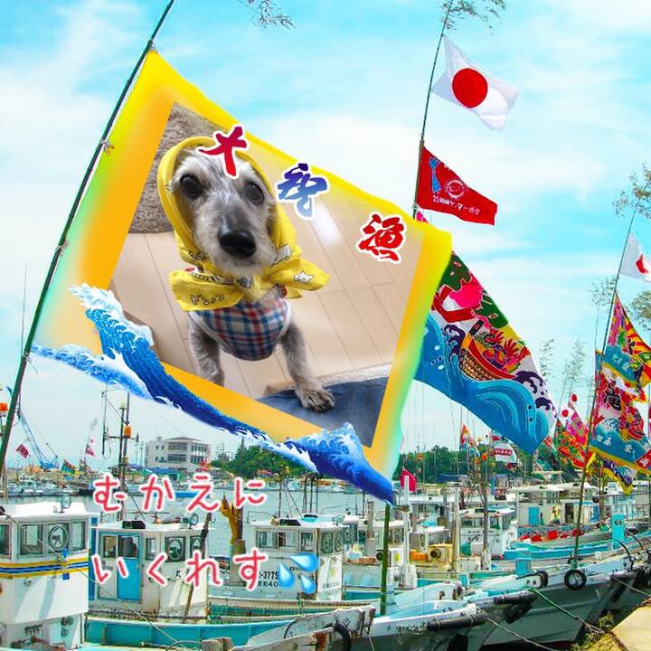 25aafb99 66f3 41fc 8302 898ed7243236