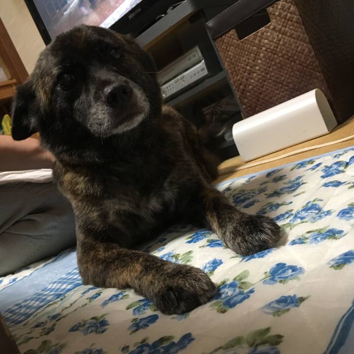 25ab09f7 0ab6 44fa a615 57fe9681a0d3