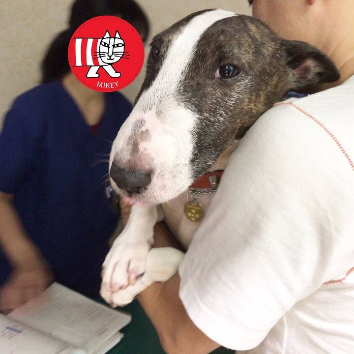 25ab4b42 500d 433b 9bdf d01c1d4d3f29