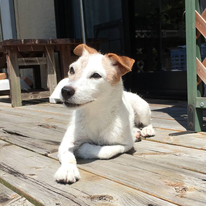 25ab581e 61e9 428f 920b f838214b3aec