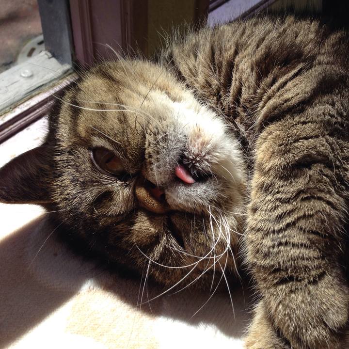 25ab7890 8485 4ee5 94aa 16cf1dacfb69