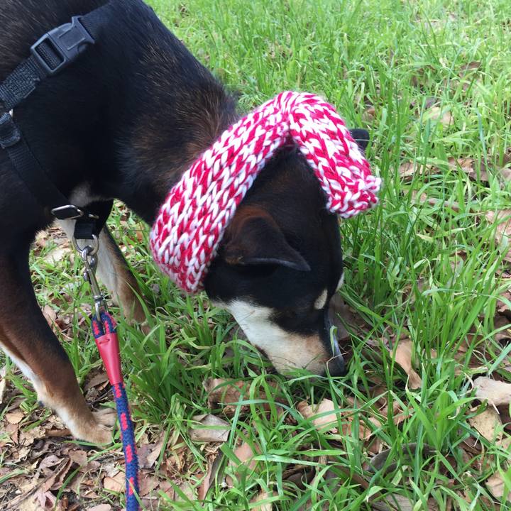 25abdd6a f672 4324 ac39 07c7840f3473