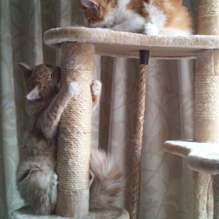 25abf290 93f3 4561 801f f9b6890d20d9