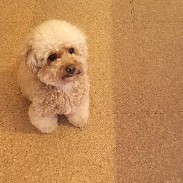 25adcb22 54ad 4930 b527 5d5daea9cfd2