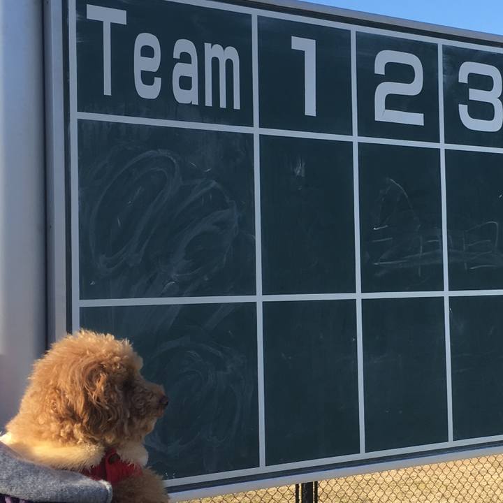 25ae08cf 227b 494e b0ec cc5bbca544a1