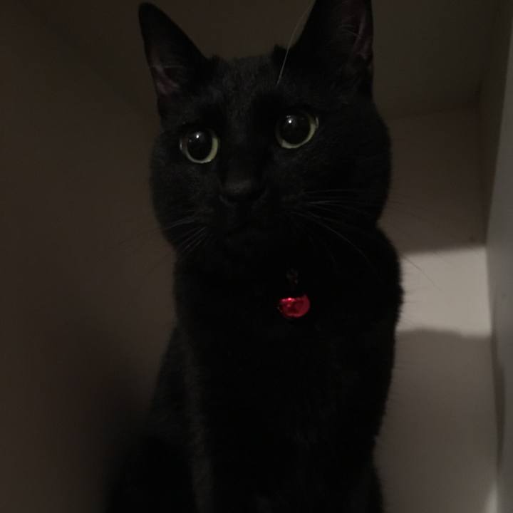 25ae828f 2c80 4501 a77a fe29f4a0e226