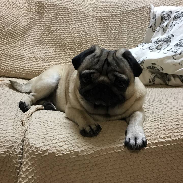 25aea02f fb02 4b06 acb4 df77301a4041