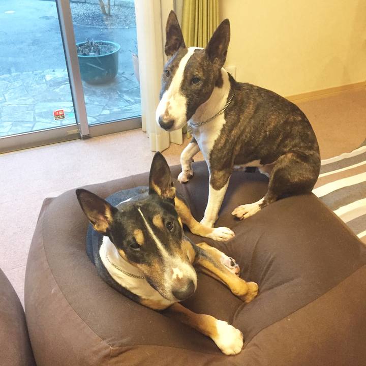 25aff844 aa96 4052 9f1c d79adfba0e30