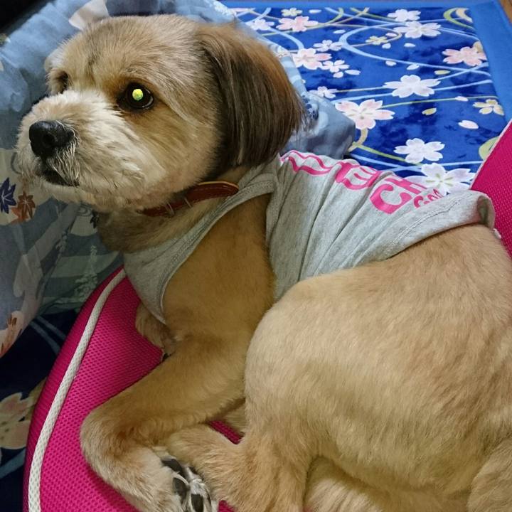 25b05345 ef24 4cf2 a36d d170b413cca3