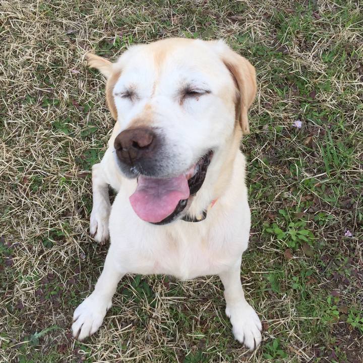 25b0e093 caa5 49c9 a98f 4c484662dcad