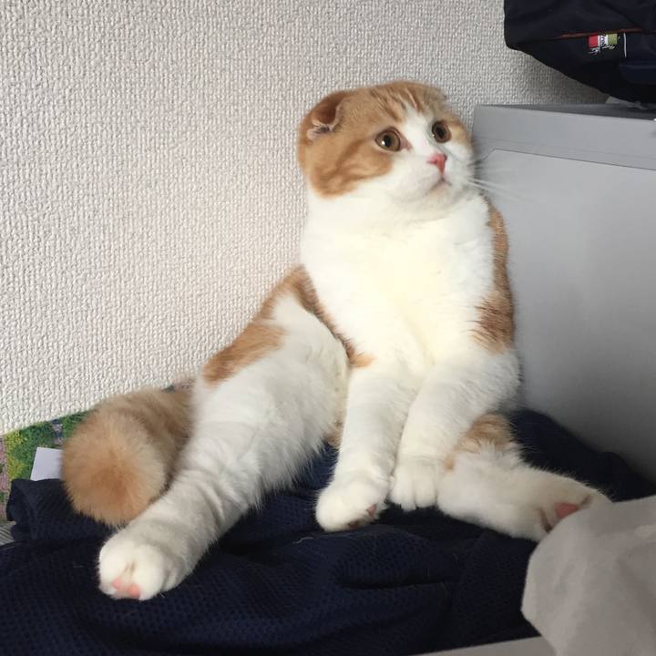 25b1dd54 beb8 4439 9b2f ddde237dd121