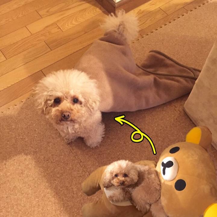 25b23634 a2be 426a ab57 be22eaba6f3d