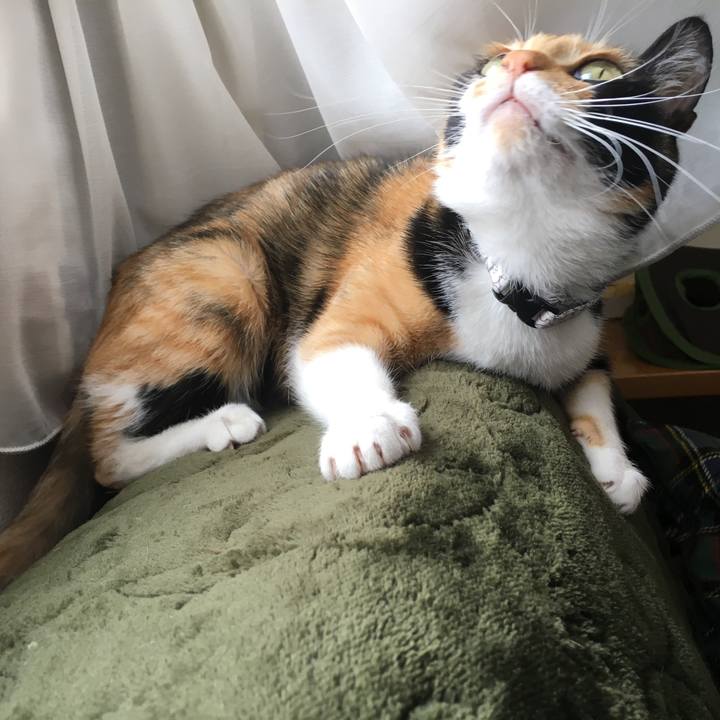 25b26a89 fa73 47bf 9060 1aaf4c78e3e3