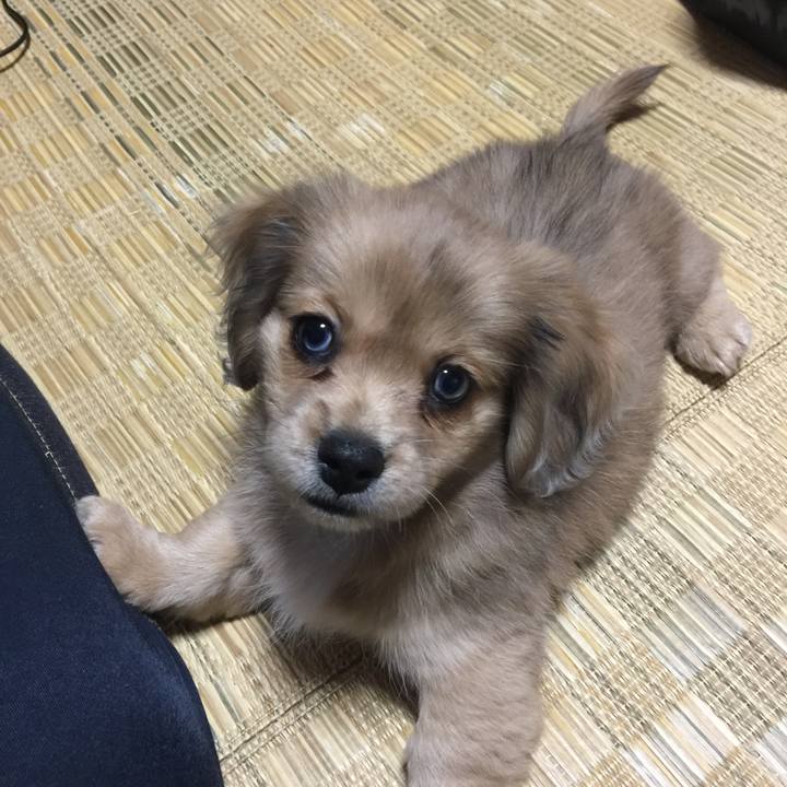 25b365cb 89e3 4de8 85ec c4d59e5f6f21