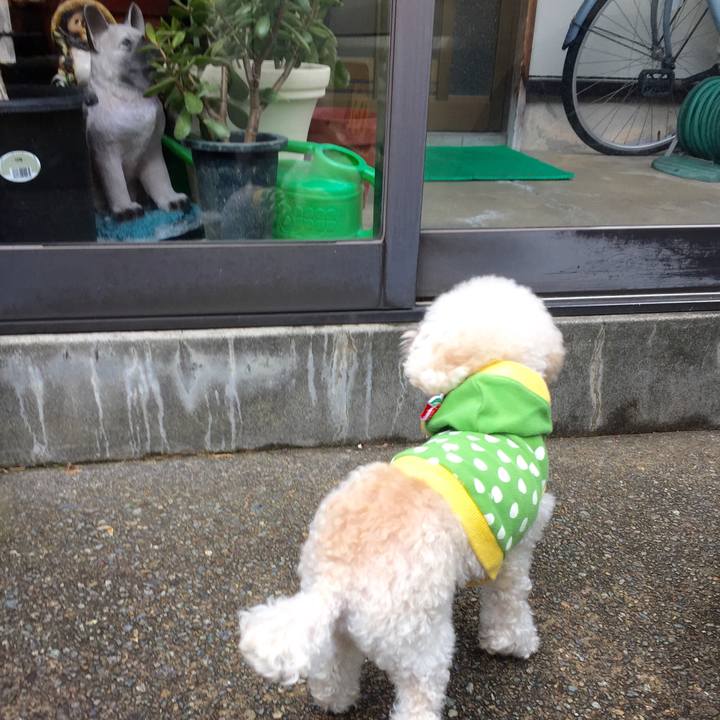 25b3a68b feb8 40b0 b2c3 476ea575744e