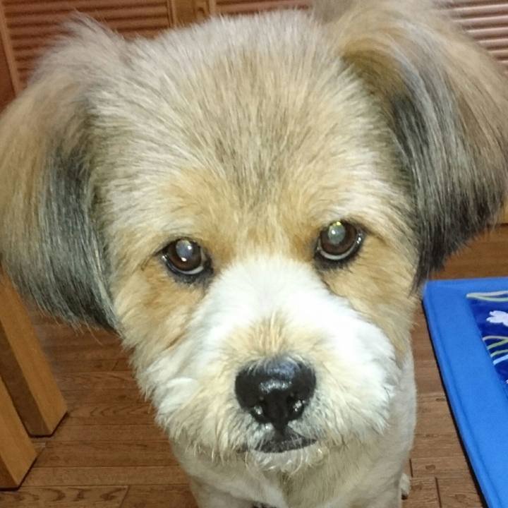 25b3ee35 b0ab 482d a698 fa083954563e