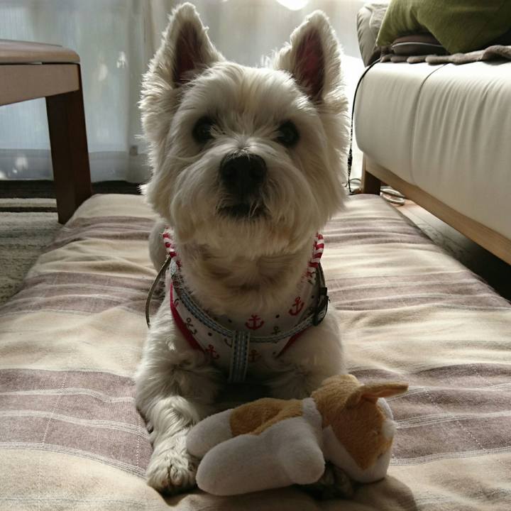 25b4bbb3 9021 41f7 9a1f 3a2178f68104