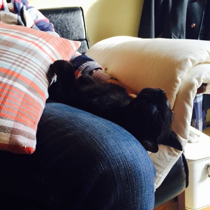 25b51c7b 480b 464f 8256 8ecfa6bc8c7c