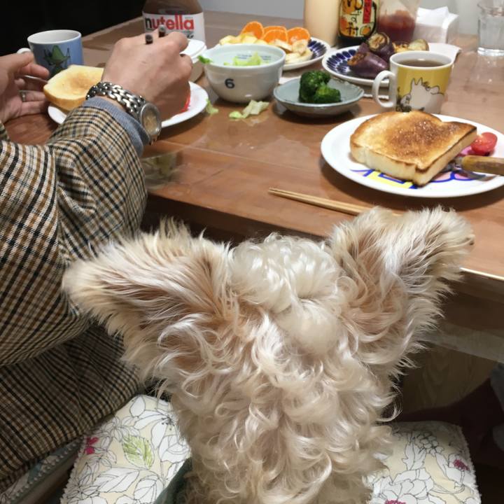 25b540e6 9aae 4460 b7a8 862113be78bc