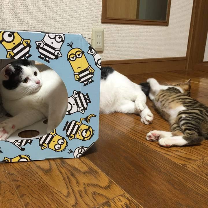 25b5411a ad40 4c58 8563 62b429f6daec