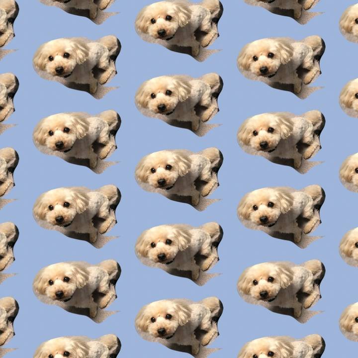 25b5c73e f9ce 4c8e a500 b9c992b5eb00